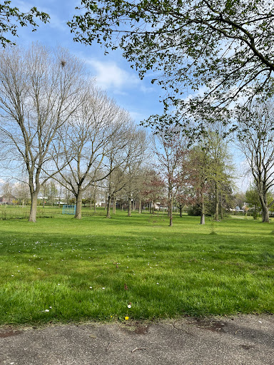 IJsclub Scheeve Schaats - Thumbnail