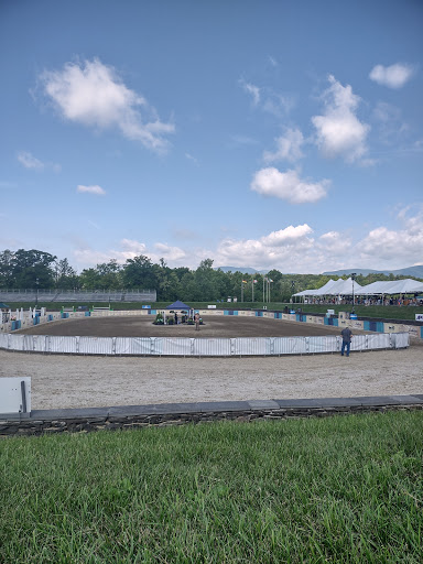 HITS Saugerties Horse Show Series Gallery - United States