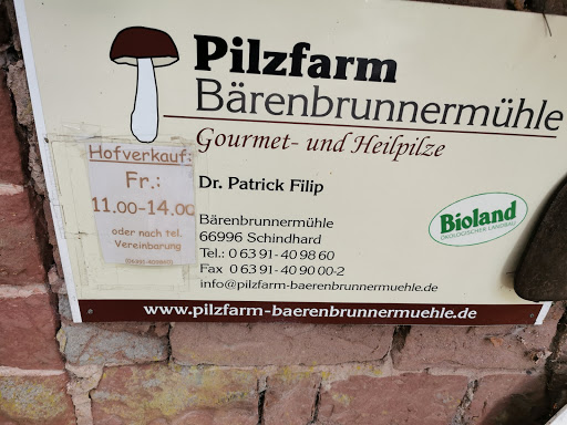 Pilzfarm Bärenbrunnermühle Logo