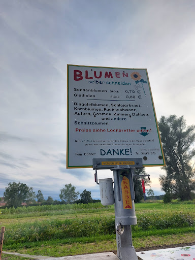 Blumen zum selbstpflücken Fam. Danner - Thumbnail