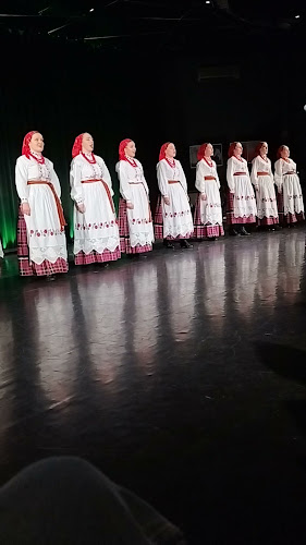 Comentarii opinii despre Spodki – Podlaski Instytut Kultury w Białymstoku