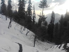 Nathia Gali View nathia-gali