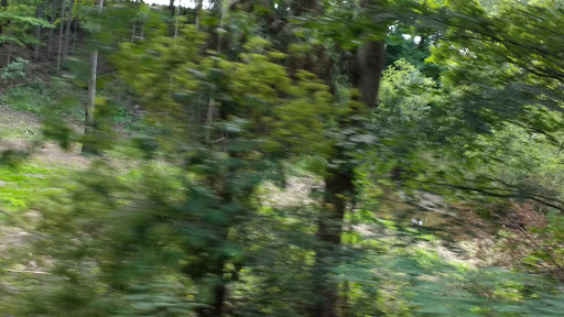 Cedar Lake Wetland Conservation Area - Thumbnail
