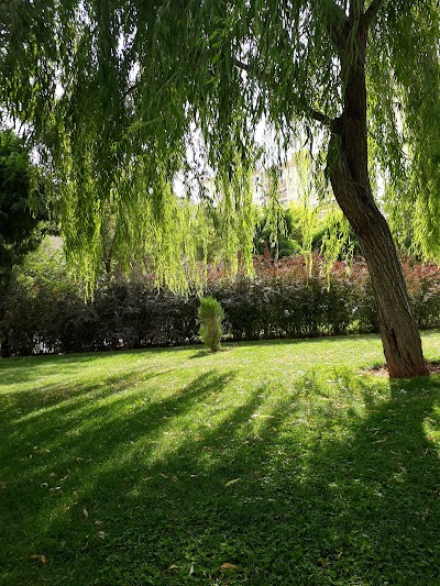 Photos of Shamim Park