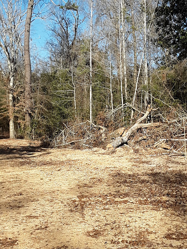 Black Creek Hiking Trailhead + parking area - Thumbnail