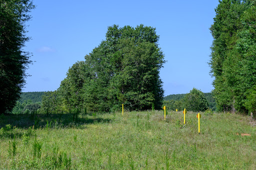Broad River Wildlife Management Area - Thumbnail