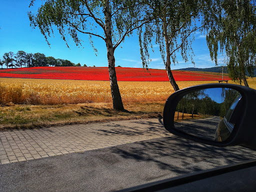 Pkw-Stellfläche für Rollstuhlfahrer