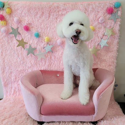 Pink Pucci Dog Grooming and Daycare
