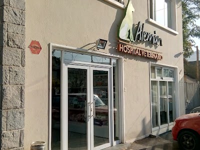 Photos of German Veterinary Hospital