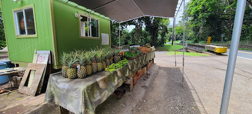 Kualoa Coconut Man