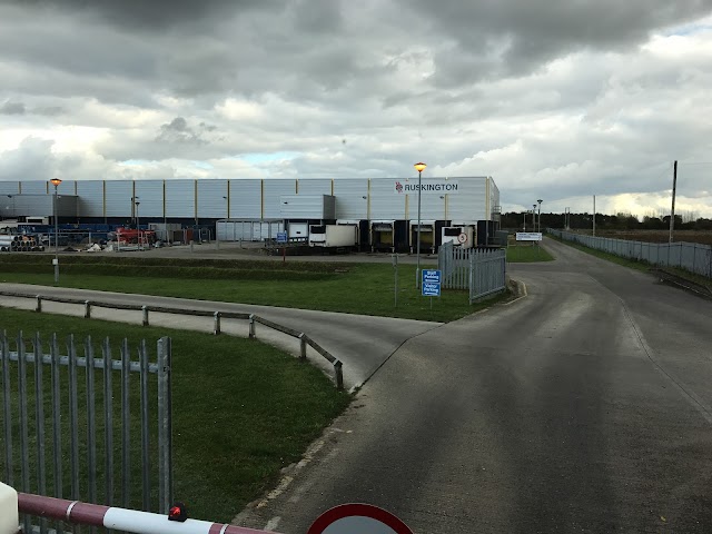 Tulip Ltd