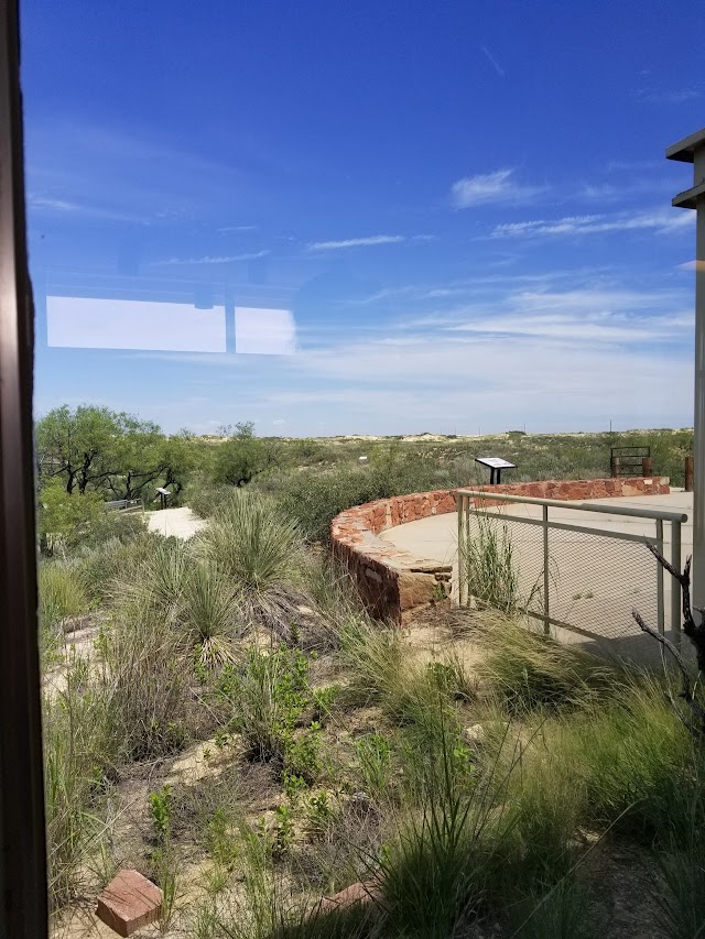 Monahans Sandhills State Park