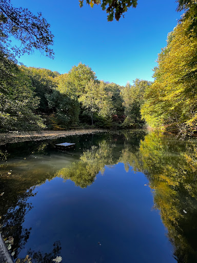 Herzbachweiher - Thumbnail