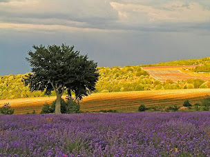Photo n°13 de Luberonweb à Apt (Agence de location de maisons de vacances)