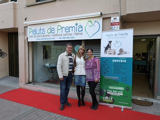 Peluts de Premià