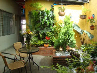 Photos of Yellow House Hostel