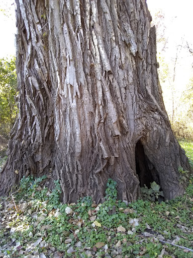 Cortright Wildlife Area - Thumbnail