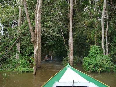 photo of Amazon Explorers - Filial Manauara