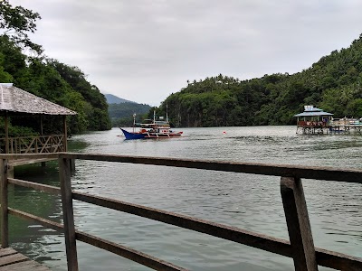 photo of Hutan Mangrove Lembeh