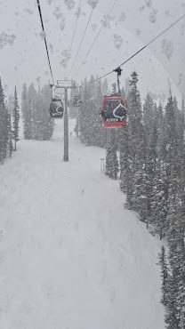 Aspen Mountain by null