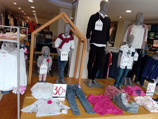 Optima-Tulancingo - Visual