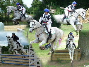 Photo n°21 de Le Pré Danseur à Talmont-Saint-Hilaire (Complexe sportif)