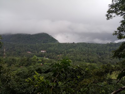 Photos of Meennana