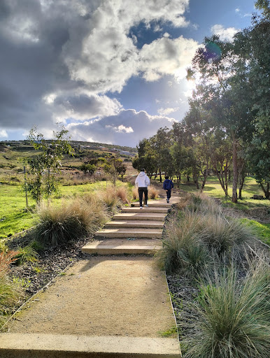 Darley 1000 Steps - Midway Point - Thumbnail