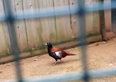 Photos of Plzeň Zoo