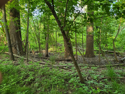 Big Creek Parkway - Thumbnail