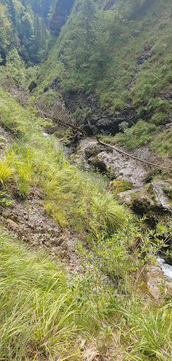 Scharnbach Wasserfall - Visual