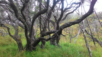 Photos of Lembah Kidang