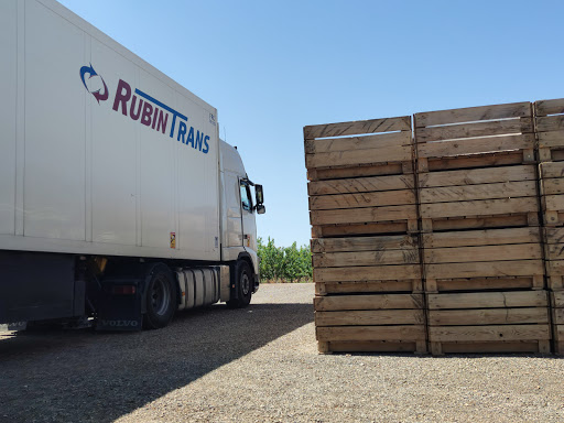 Frutas daniel - Thumbnail