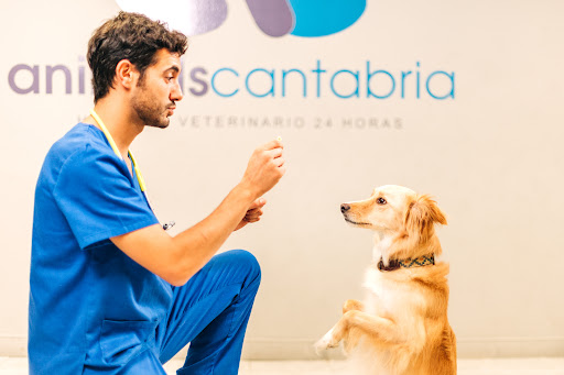 Animals Cantabria-Hospital Veterinario 24 Horas