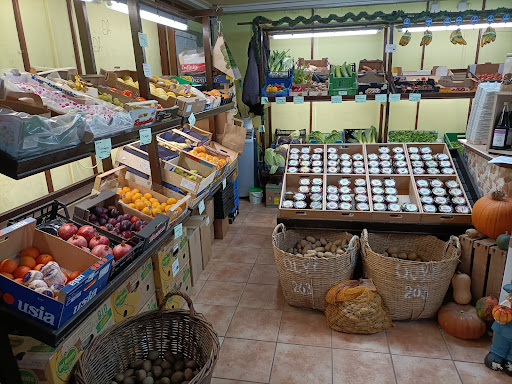 Rikes Obstpavillion