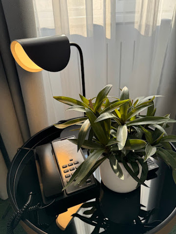 Hotel "Evropa" by null