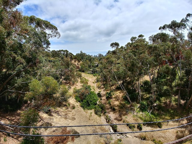 Spruce Street Suspension Bridge