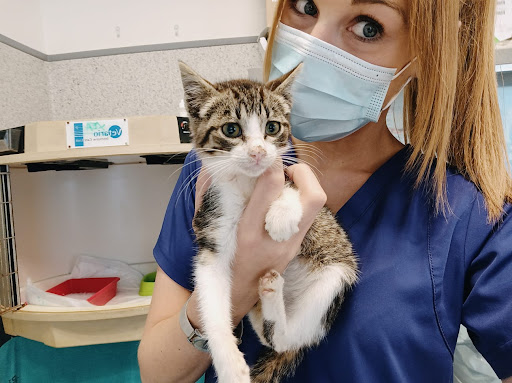 Clínica Veterinaria Argos (Muros)