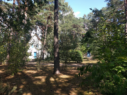 Vierling - Visual