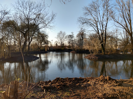 Park De Nieuwe IJsbaan - Thumbnail