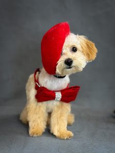 Foto de Dalila’s Pet Grooming Todas