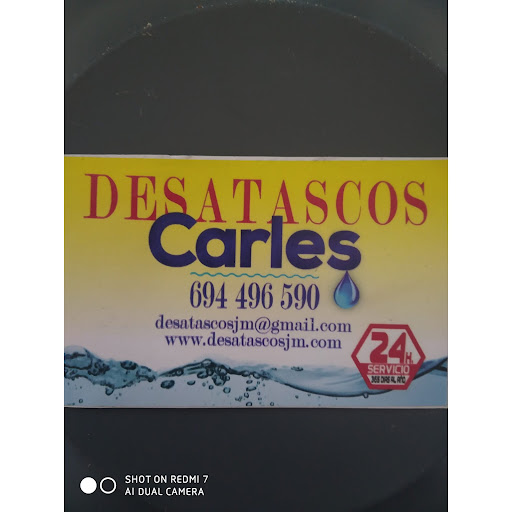 Desatascos Carles