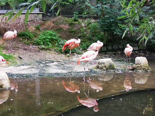 Straubing Zoo - Thumbnail