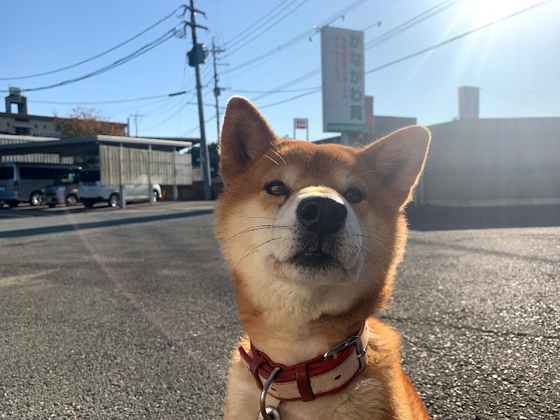 有料老人ホームかながわ苑