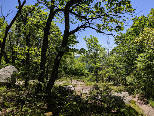 Pond Mountain Natural Area - Thumbnail