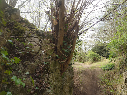Maes Hiraddug North Wales Wildlife Trust Nature Reserve - Thumbnail