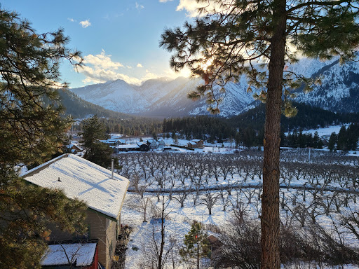 Fox Lodge - Visual