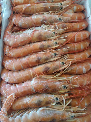 AGROMAR CARNI - SURGELATI CARNE E PESCE - Thumbnail