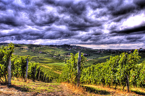 Tuscan Tours and Weddings - Thumbnail