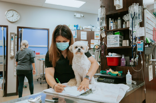 Metropolitan Veterinary Center - Thumbnail